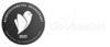GoVolunteer - Ausgezeichnetes Engagement